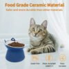 Raised Ceramic Dog Feeder Bowl